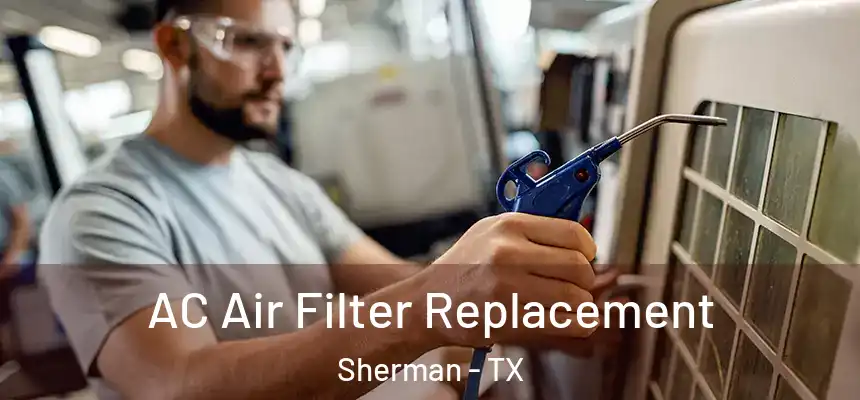AC Air Filter Replacement Sherman - TX