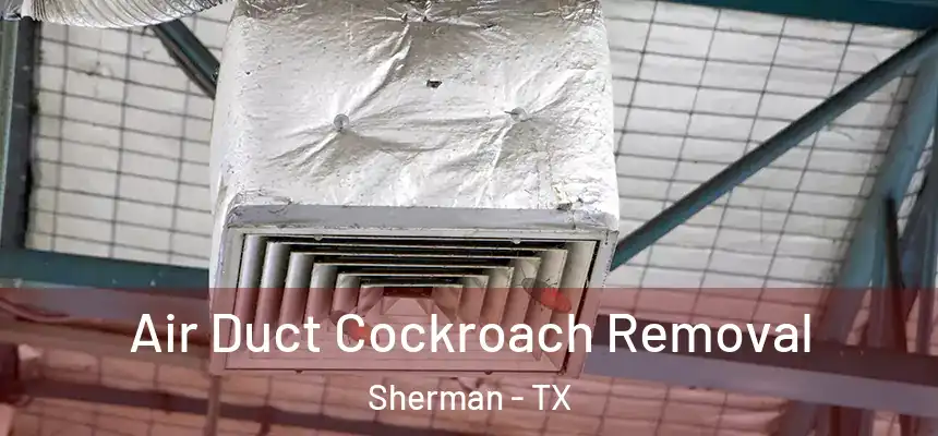 Air Duct Cockroach Removal Sherman - TX