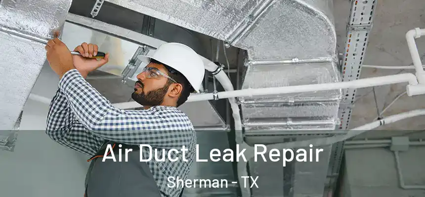  Air Duct Leak Repair Sherman - TX