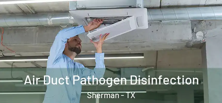 Air Duct Pathogen Disinfection Sherman - TX