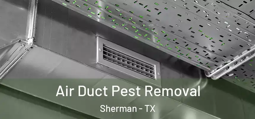  Air Duct Pest Removal Sherman - TX