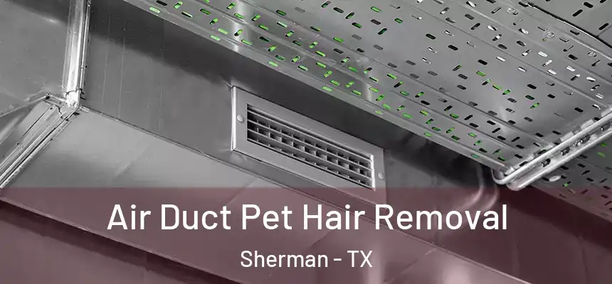 Air Duct Pet Hair Removal Sherman - TX