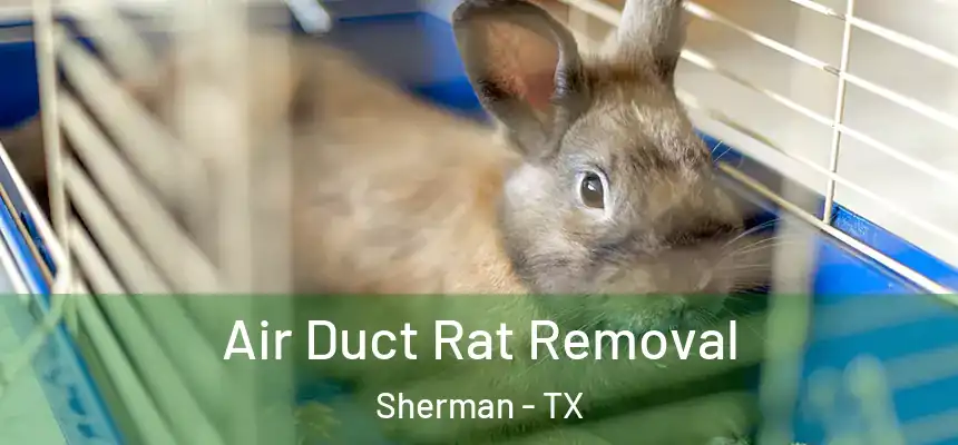 Air Duct Rat Removal Sherman - TX