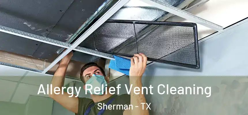 Allergy Relief Vent Cleaning Sherman - TX