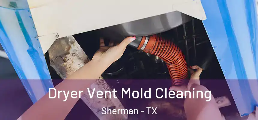  Dryer Vent Mold Cleaning Sherman - TX