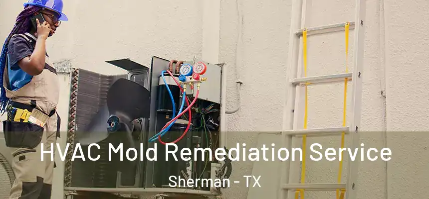  HVAC Mold Remediation Service Sherman - TX