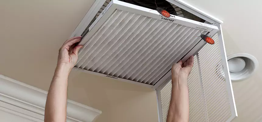 Preventive Cockroach-Proofing for Ducts in Sherman