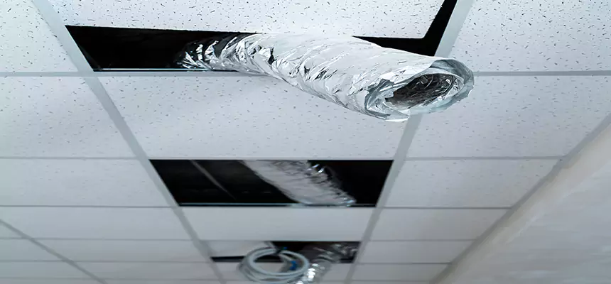 Affordable HVAC Sanitizing After Pest Removal in Sherman