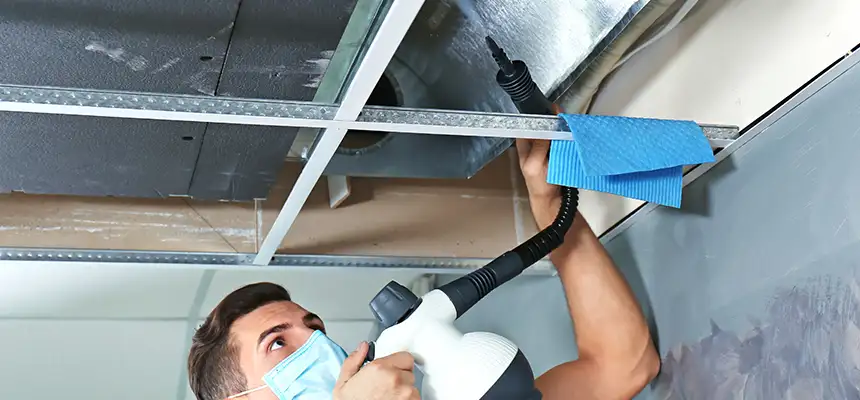 Our Air Duct Rodent Removal Services in Sherman, TX
