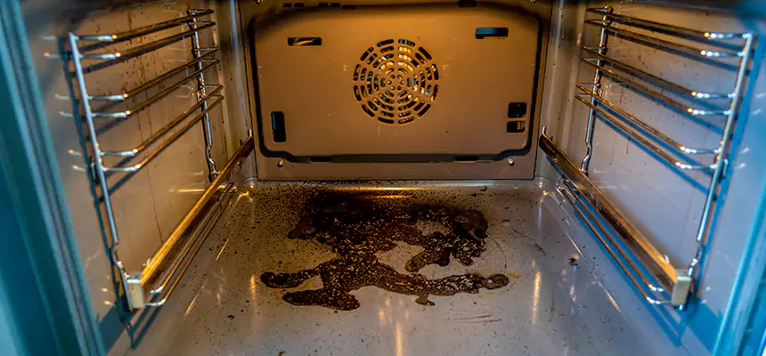 Our Dryer Vent Mold Cleaning Services in Sherman, TX