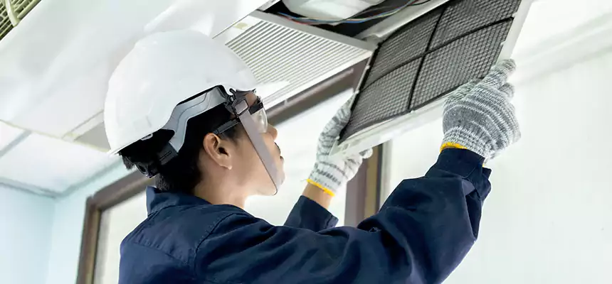 Our Mold & Mildew Removal from Air Ducts Services in Sherman, TX