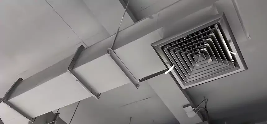 Our Pest Removal From Ducts Services in Sherman, TX