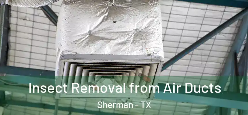 Insect Removal from Air Ducts Sherman - TX