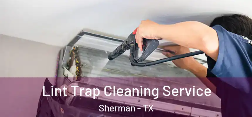 Lint Trap Cleaning Service Sherman - TX