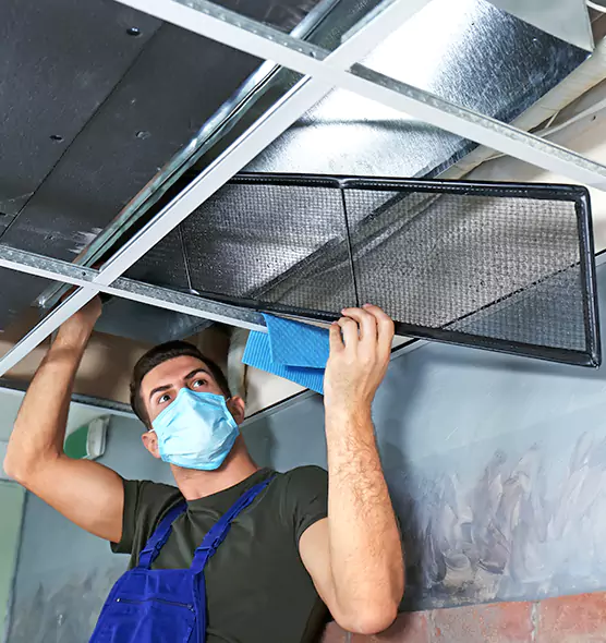 About Air Duct Bacteria Removal in Sherman