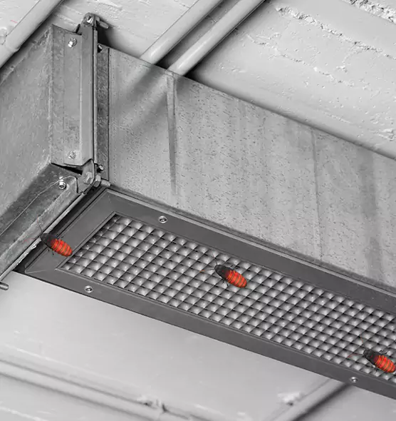 About Air Duct Cockroach Removal in Sherman, TX