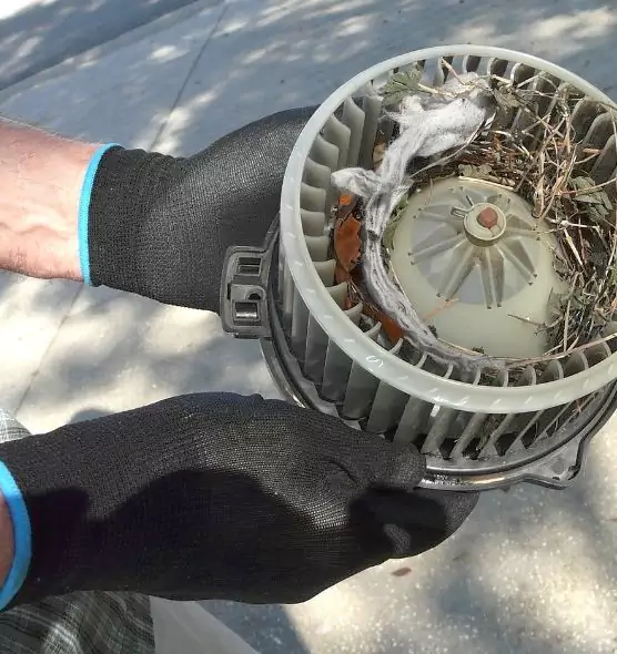 About Air Duct Mice Removal in Sherman, TX