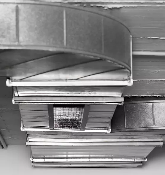 Professional Air Duct Pest Removal in Sherman, TX