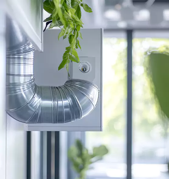 Professional Eco-Safe Dryer Vent Cleaning in Sherman, TX