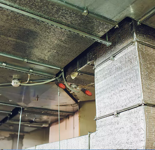 Why Homeowners & Businesses Trust Us in Sherman, TX?