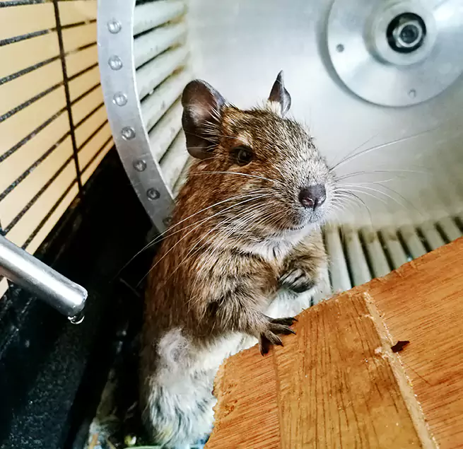 Why Homeowners & Businesses Trust Us Sherman, TX