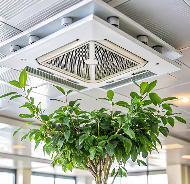 Why Homeowners & Businesses Trust Us in Sherman, TX?