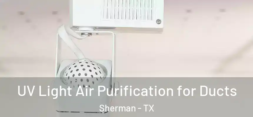  UV Light Air Purification for Ducts Sherman - TX